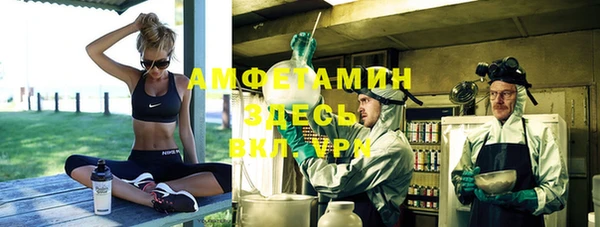 молекула духа Бородино